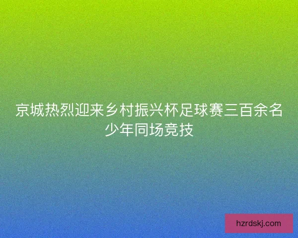 京城热烈迎来乡村振兴杯足球赛三百余名少年同场竞技